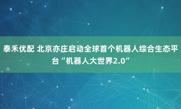 泰禾优配 北京亦庄启动全球首个机器人综合生态平台“机器人大世界2.0”