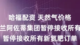 哈福配资 天然气价格上涨，波兰阿佐蒂集团暂停接收所有新氮肥订单
