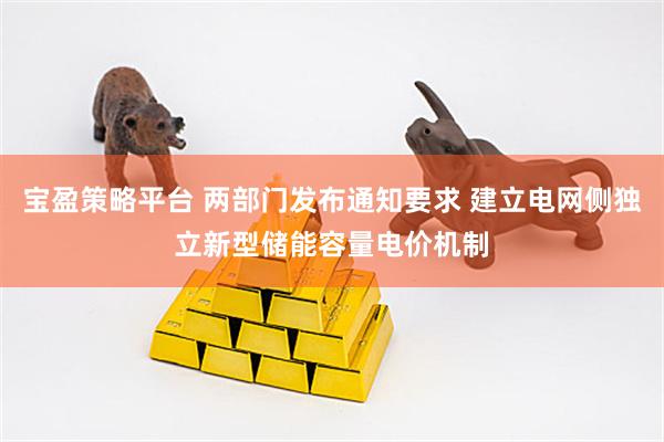 宝盈策略平台 两部门发布通知要求 建立电网侧独立新型储能容量电价机制